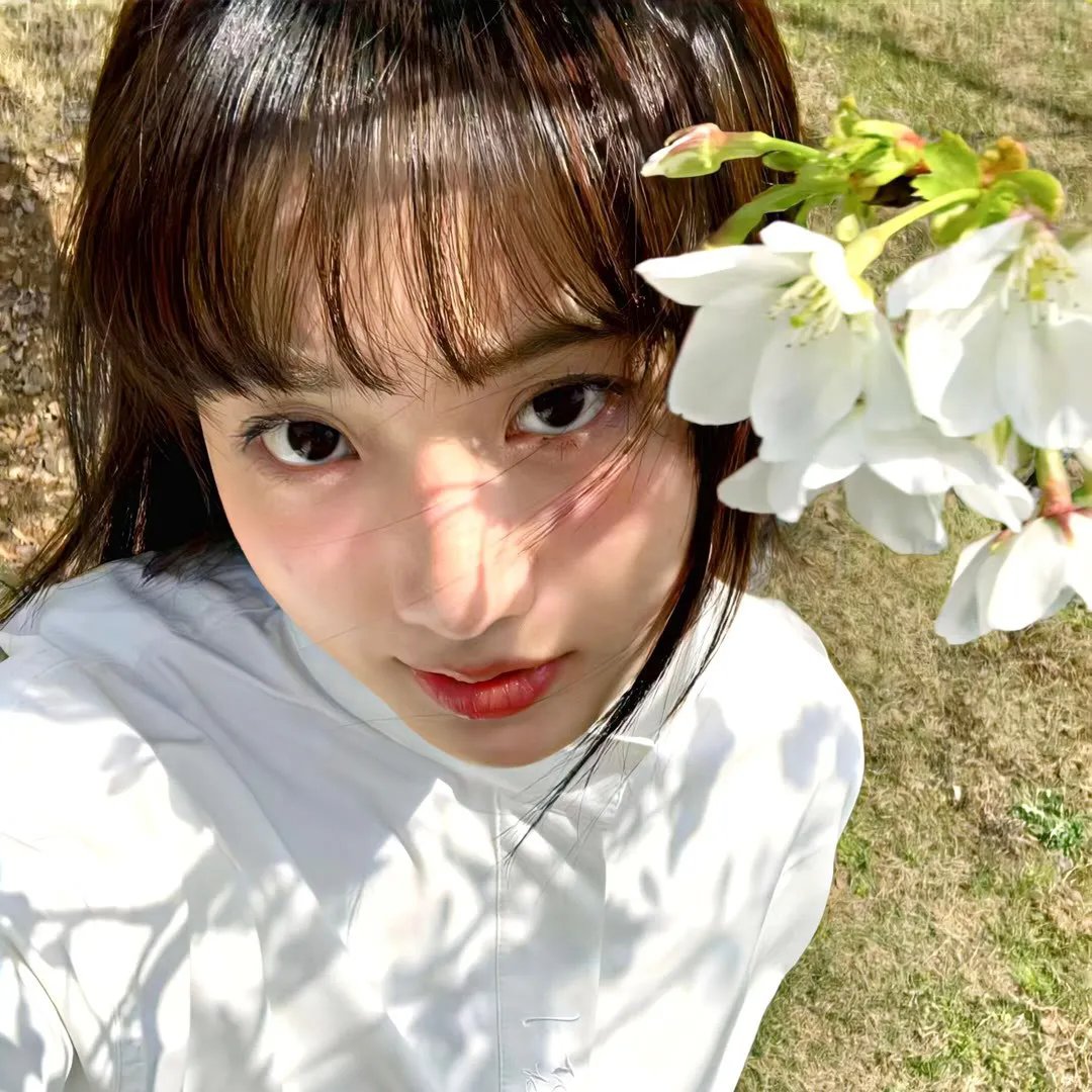 毒枭:墨西哥第二季